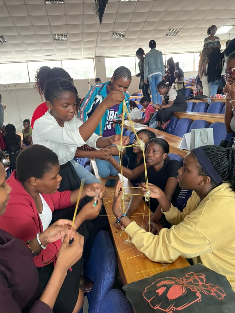 CoSISS members collaborating